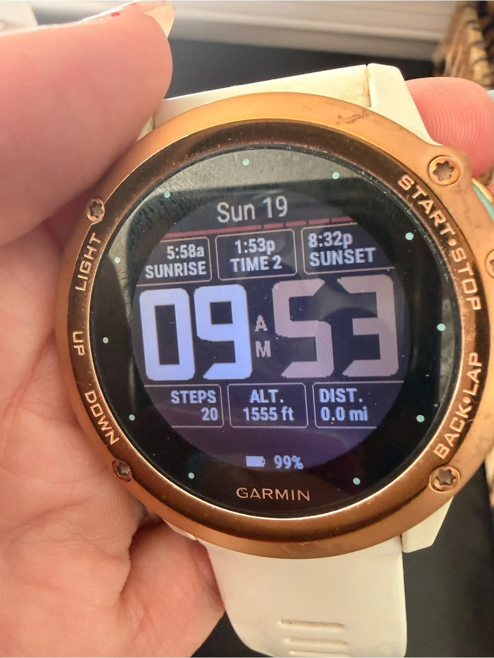 garmin Fenix 3 Sapphire Edition Multi Sport Training GPS Watch-Rose Gold Bezel